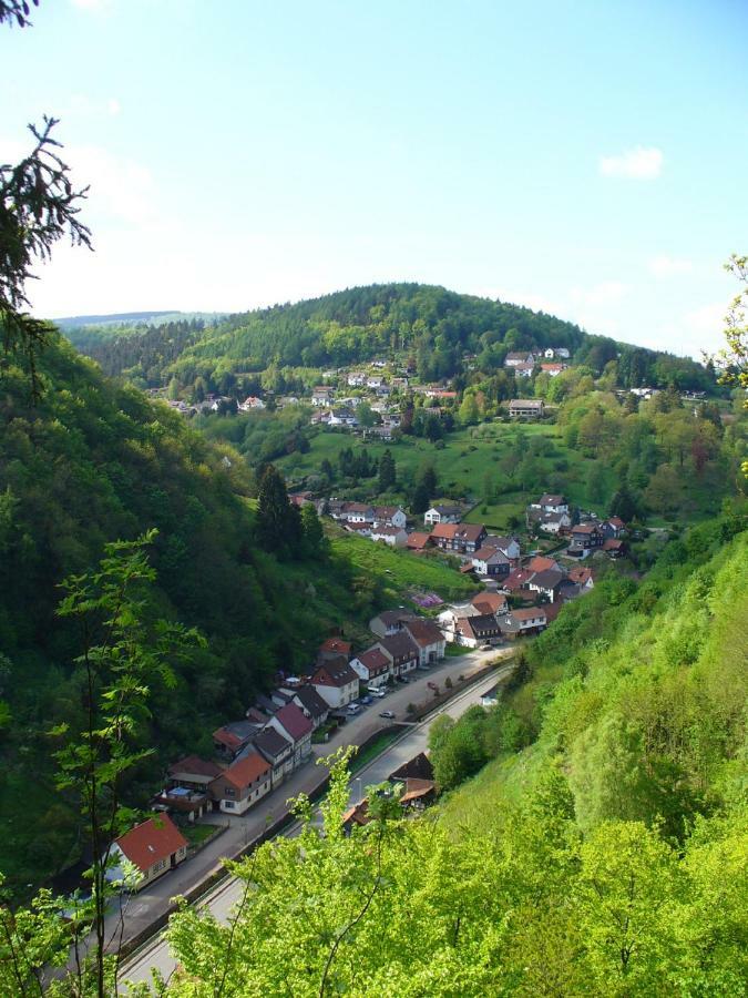 Landhaus Kathrin Walkenried Buitenkant foto
