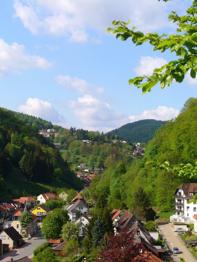 Landhaus Kathrin Walkenried Buitenkant foto